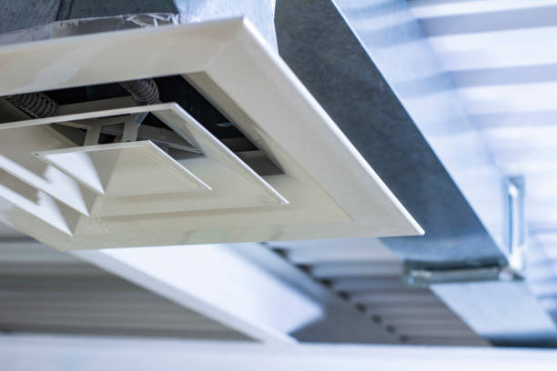 Best Ventilation Cleaning Services  in Remsen, IA