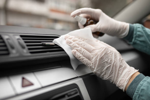 Best Air Duct Mold Removal  in Remsen, IA