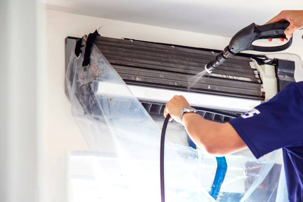 Best Affordable Duct Cleaning Services  in Remsen, IA