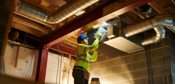 Best Professional Duct Cleaning Services  in Remsen, IA