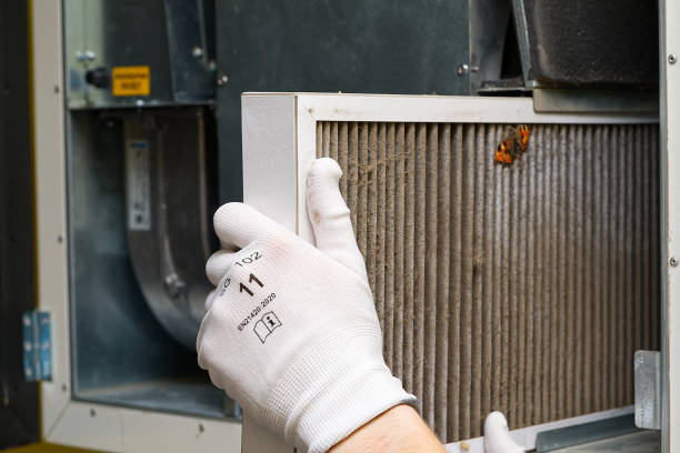 Best Ductwork Cleaning Services  in Remsen, IA