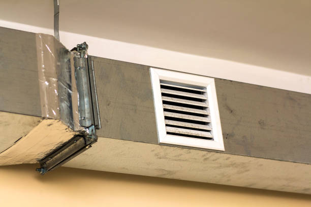 Best Air Duct Cleaning Near Me  in Remsen, IA